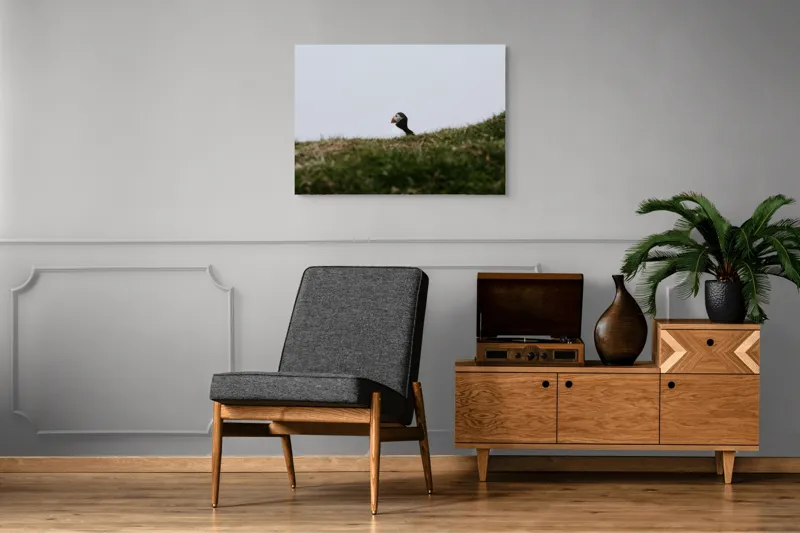Tablou Canvas, "Papagal de mare pe câmp verde", Pasăre, Pămătuf, Pene, Gazon, Cer, Natură, Solitudine, Contrast., 100 x 70 cm – poza 8