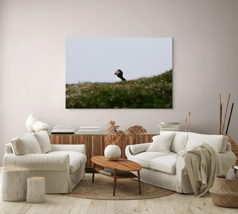 Tablou Canvas, "Papagal de mare pe câmp verde", Pasăre, Pămătuf, Pene, Gazon, Cer, Natură, Solitudine, Contrast., 150 x 100 cm – poza 3