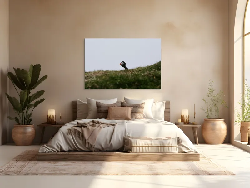 Tablou Canvas, "Papagal de mare pe câmp verde", Pasăre, Pămătuf, Pene, Gazon, Cer, Natură, Solitudine, Contrast., 150 x 100 cm – poza 4