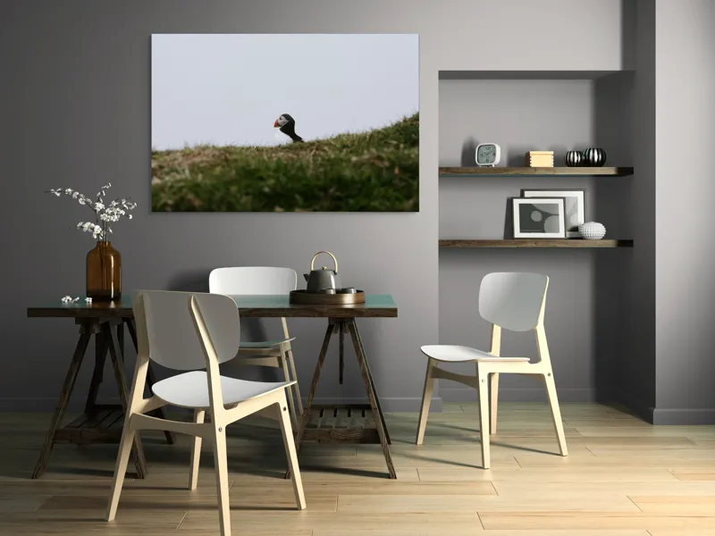 Tablou Canvas, "Papagal de mare pe câmp verde", Pasăre, Pămătuf, Pene, Gazon, Cer, Natură, Solitudine, Contrast., 150 x 100 cm – poza 5