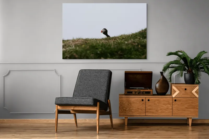 Tablou Canvas, "Papagal de mare pe câmp verde", Pasăre, Pămătuf, Pene, Gazon, Cer, Natură, Solitudine, Contrast., 150 x 100 cm – poza 8