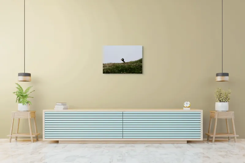 Tablou Canvas, "Papagal de mare pe câmp verde", Pasăre, Pămătuf, Pene, Gazon, Cer, Natură, Solitudine, Contrast., 70 x 50 cm – poza 7