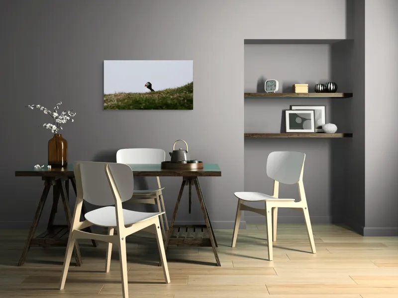 Tablou Canvas, "Papagal de mare pe câmp verde", Pasăre, Pămătuf, Pene, Gazon, Cer, Natură, Solitudine, Contrast., 90 x 50 cm – poza 3