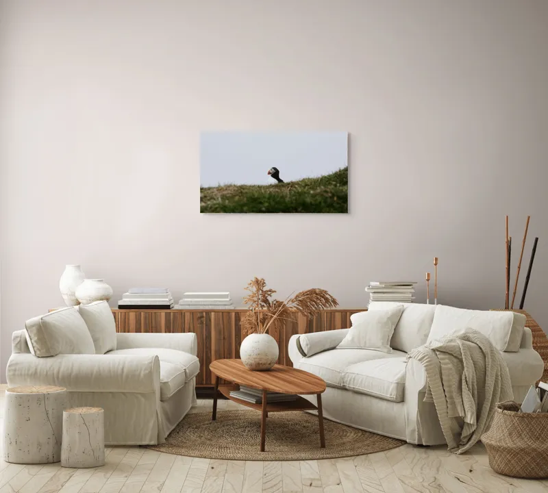 Tablou Canvas, "Papagal de mare pe câmp verde", Pasăre, Pămătuf, Pene, Gazon, Cer, Natură, Solitudine, Contrast., 90 x 50 cm – poza 4