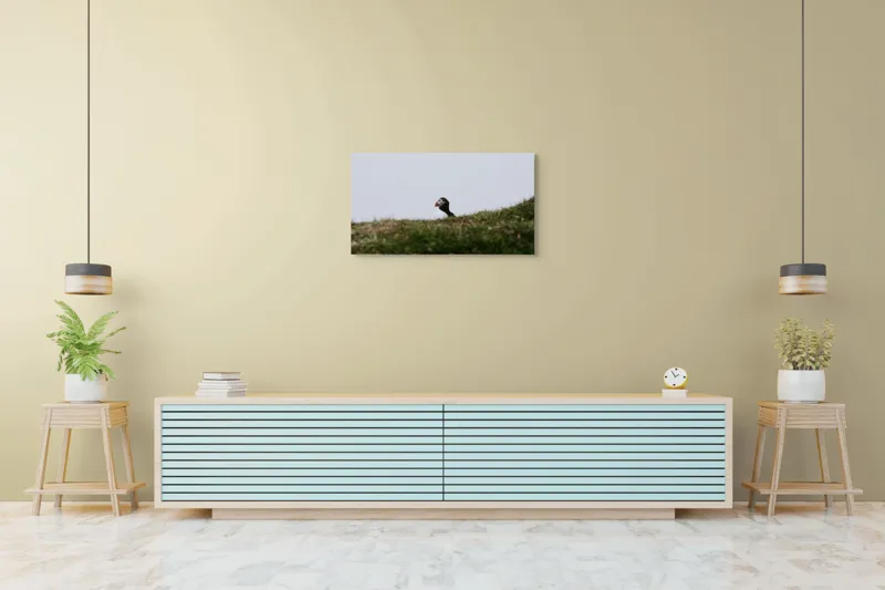 Tablou Canvas, "Papagal de mare pe câmp verde", Pasăre, Pămătuf, Pene, Gazon, Cer, Natură, Solitudine, Contrast., 90 x 50 cm – poza 5