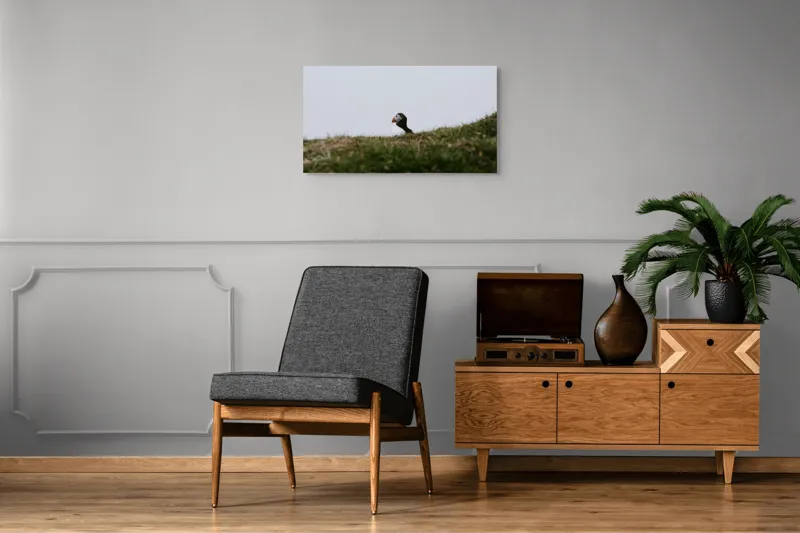 Tablou Canvas, "Papagal de mare pe câmp verde", Pasăre, Pămătuf, Pene, Gazon, Cer, Natură, Solitudine, Contrast., 90 x 50 cm – poza 6