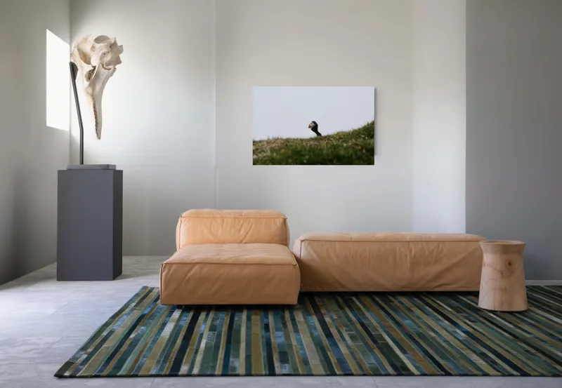 Tablou Canvas, "Papagal de mare pe câmp verde", Pasăre, Pămătuf, Pene, Gazon, Cer, Natură, Solitudine, Contrast., 90 x 50 cm – poza 8