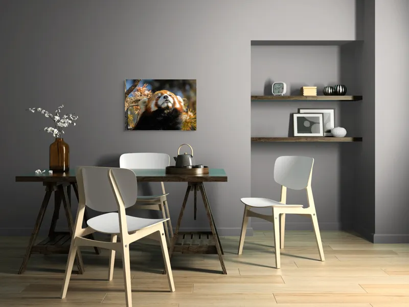 Tablou Canvas, "Panda Roșu Încălzit de Soare", Blană, Răsfățat, Somnoros, Privire, Copac, Foioase, Relaxare, 70 x 50 cm – poza 5