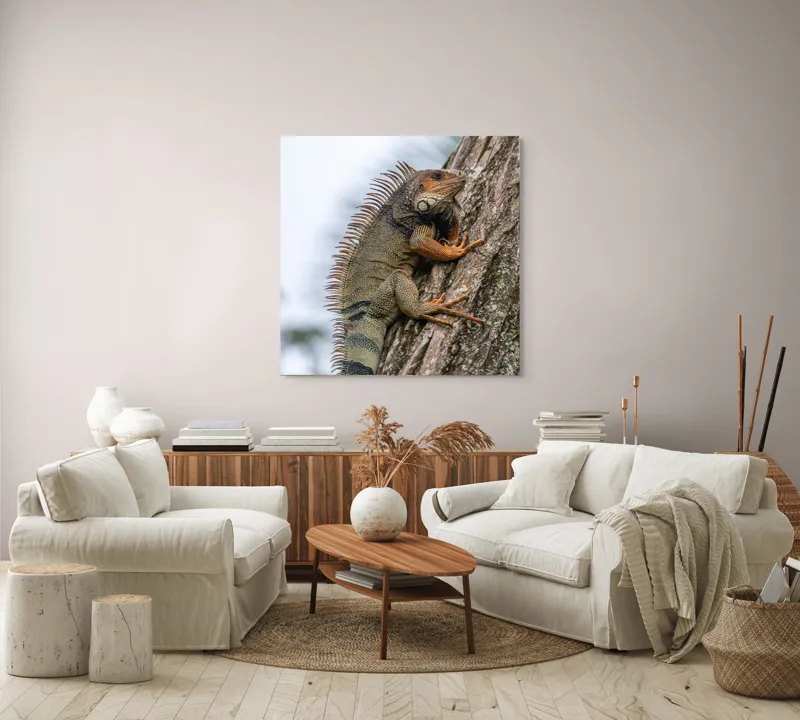 Tablou Canvas, "Iguana cocoțată pe trunchiul copacului", Iguana, Arbore, Solzi, Spini, Natură, Cățărare, Verde, Coamă, Textură, Mediu., 100 x 100 cm – poza 3
