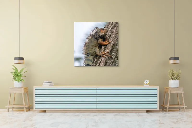 Tablou Canvas, "Iguana cocoțată pe trunchiul copacului", Iguana, Arbore, Solzi, Spini, Natură, Cățărare, Verde, Coamă, Textură, Mediu., 100 x 100 cm – poza 5