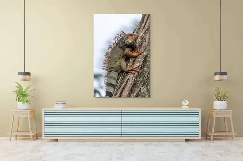 Tablou Canvas, "Iguana cocoțată pe trunchiul copacului", Iguana, Arbore, Solzi, Spini, Natură, Cățărare, Verde, Coamă, Textură, Mediu., 100 x 150 cm – poza 4