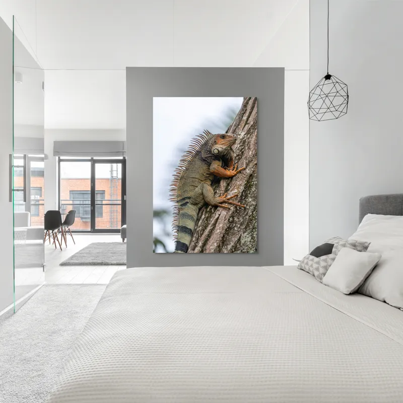 Tablou Canvas, "Iguana cocoțată pe trunchiul copacului", Iguana, Arbore, Solzi, Spini, Natură, Cățărare, Verde, Coamă, Textură, Mediu., 100 x 150 cm – poza 5