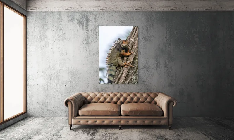 Tablou Canvas, "Iguana cocoțată pe trunchiul copacului", Iguana, Arbore, Solzi, Spini, Natură, Cățărare, Verde, Coamă, Textură, Mediu., 100 x 150 cm – poza 6