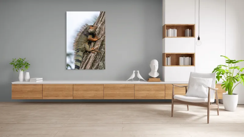 Tablou Canvas, "Iguana cocoțată pe trunchiul copacului", Iguana, Arbore, Solzi, Spini, Natură, Cățărare, Verde, Coamă, Textură, Mediu., 100 x 150 cm – poza 8