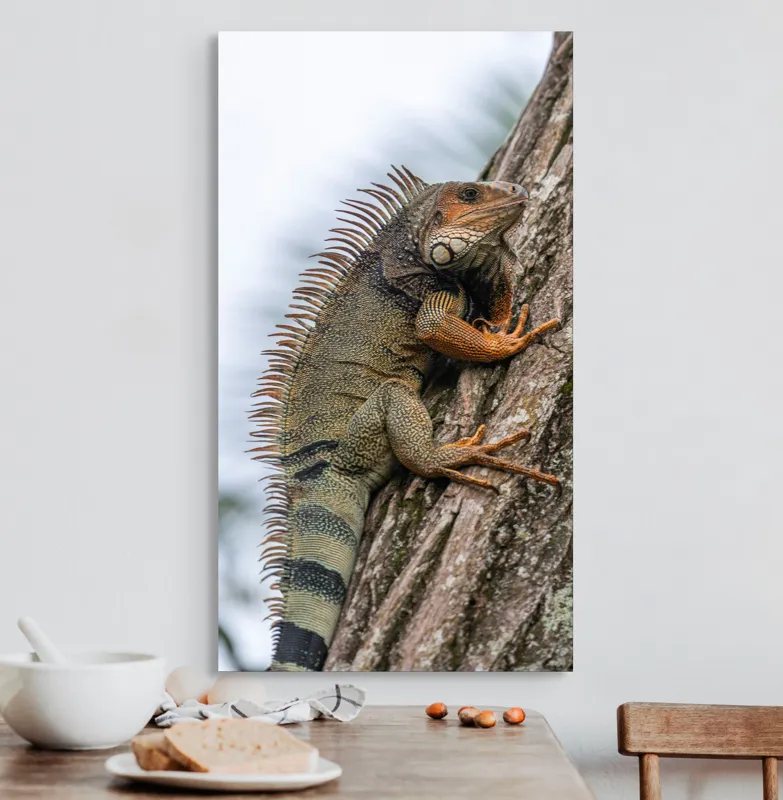 Tablou Canvas, "Iguana cocoțată pe trunchiul copacului", Iguana, Arbore, Solzi, Spini, Natură, Cățărare, Verde, Coamă, Textură, Mediu., 50 x 90 cm – poza 3
