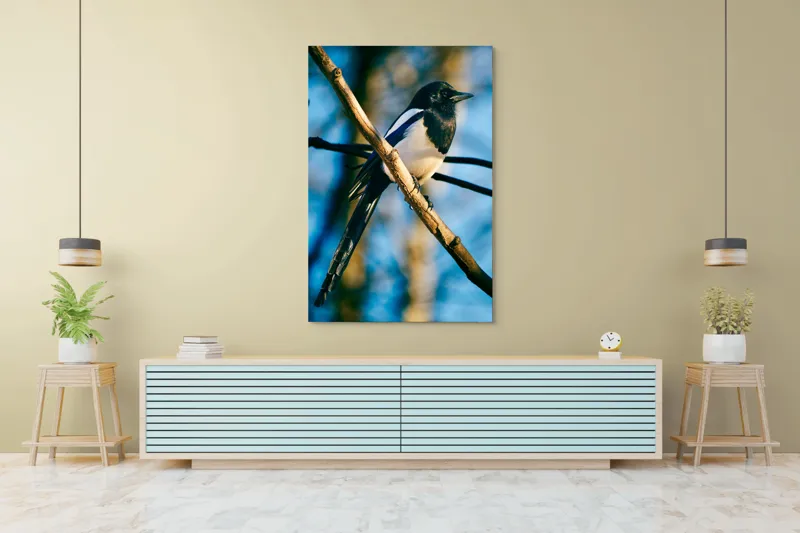 Tablou Canvas, "Coțofana în lumina dimineții de toamnă", Pasăre, Cracă, Cer, Pene, Natură, Contrast, Lumină, Frumusețe, Eleganță, Verticalitate, 100 x 150 cm – poza 4