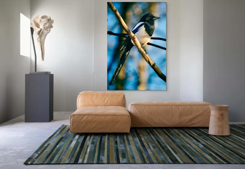 Tablou Canvas, "Coțofana în lumina dimineții de toamnă", Pasăre, Cracă, Cer, Pene, Natură, Contrast, Lumină, Frumusețe, Eleganță, Verticalitate, 100 x 150 cm – poza 7