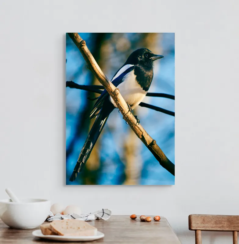 Tablou Canvas, "Coțofana în lumina dimineții de toamnă", Pasăre, Cracă, Cer, Pene, Natură, Contrast, Lumină, Frumusețe, Eleganță, Verticalitate, 50 x 70 cm – poza 3