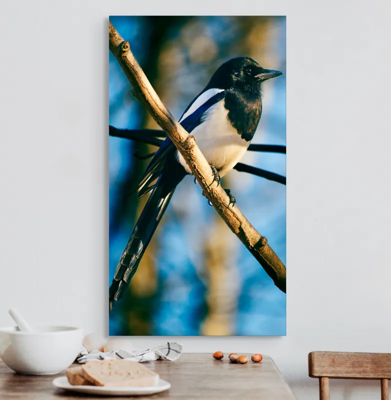 Tablou Canvas, "Coțofana în lumina dimineții de toamnă", Pasăre, Cracă, Cer, Pene, Natură, Contrast, Lumină, Frumusețe, Eleganță, Verticalitate, 50 x 90 cm – poza 3