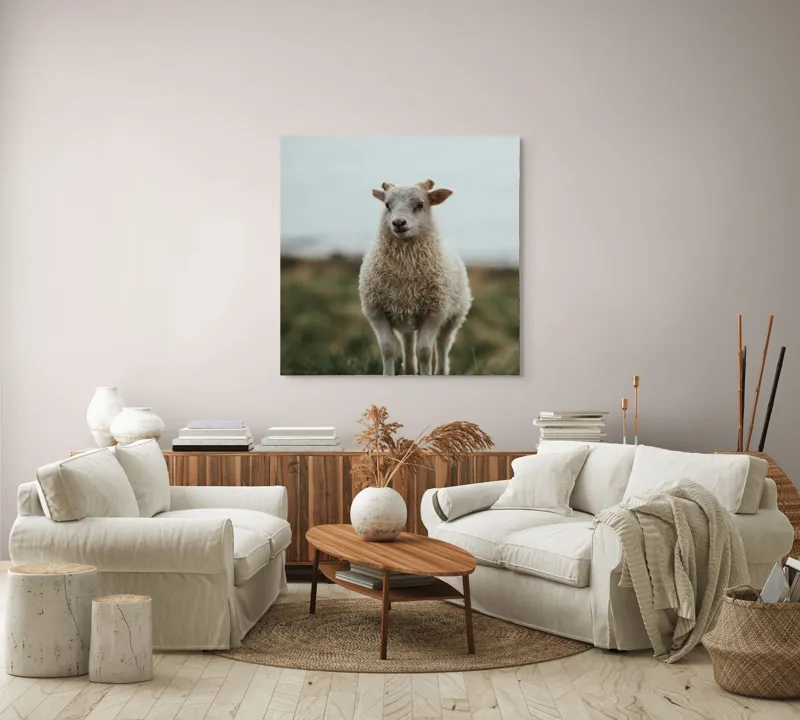 Tablou Canvas, "Mielul pe dealul înverzit", Pufos, Blând, Miel, Natura, Hornuri, Verde, Noroi, Cer, Singuratic, Tacut, 100 x 100 cm – poza 3