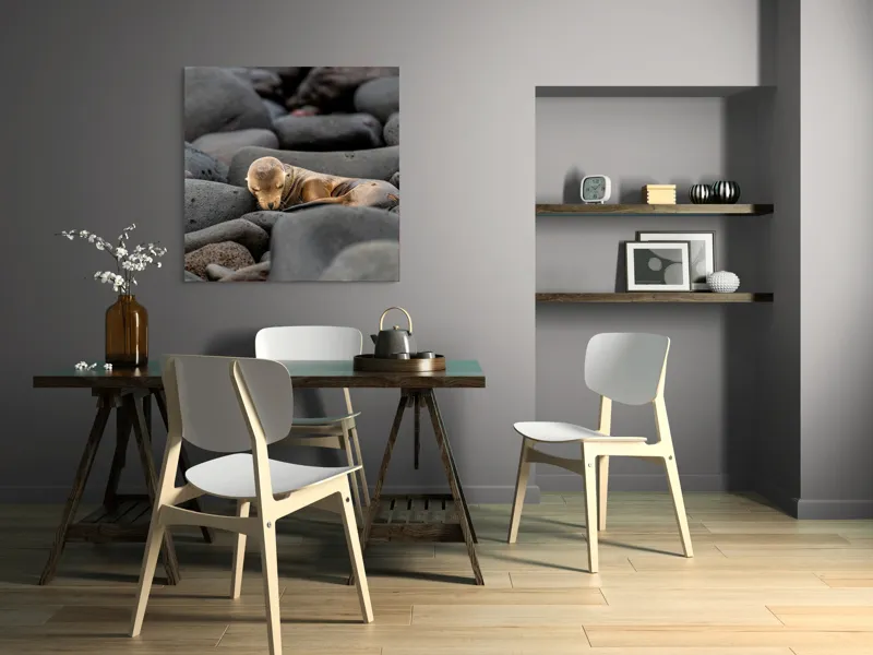 Tablou Canvas, "Pui de leu de mare dormitând liniștit", Focă, Pui, Odihnă, Bolovani, Textură, Culori Neutre, Seriozitate, Natură, Somn., 100 x 100 cm – poza 6