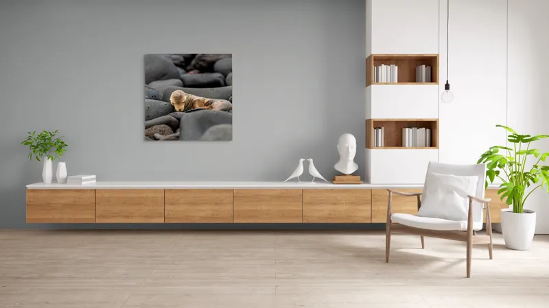 Tablou Canvas, "Pui de leu de mare dormitând liniștit", Focă, Pui, Odihnă, Bolovani, Textură, Culori Neutre, Seriozitate, Natură, Somn., 100 x 100 cm – poza 8