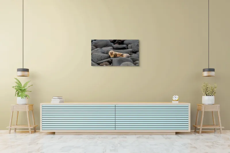 Tablou Canvas, "Pui de leu de mare dormitând liniștit", Focă, Pui, Odihnă, Bolovani, Textură, Culori Neutre, Seriozitate, Natură, Somn., 90 x 50 cm – poza 5