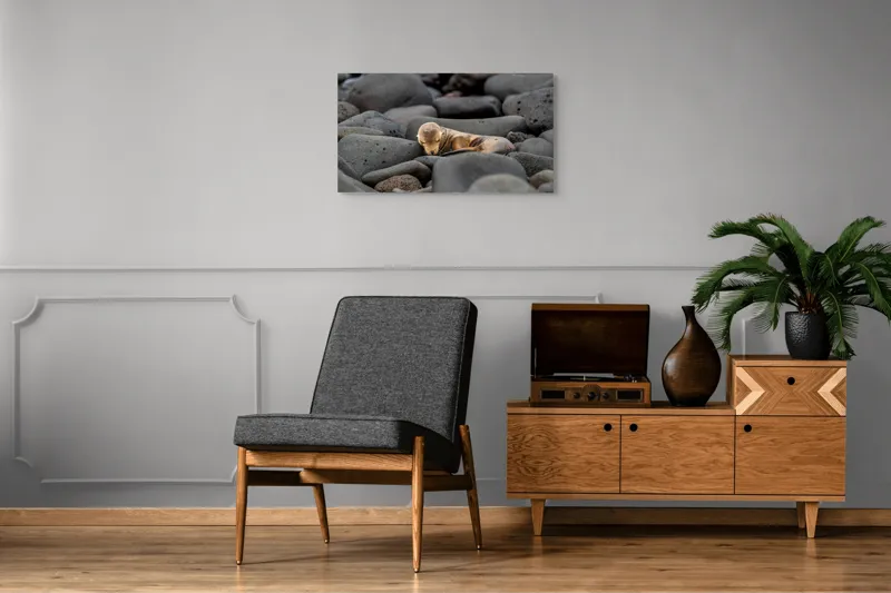 Tablou Canvas, "Pui de leu de mare dormitând liniștit", Focă, Pui, Odihnă, Bolovani, Textură, Culori Neutre, Seriozitate, Natură, Somn., 90 x 50 cm – poza 6