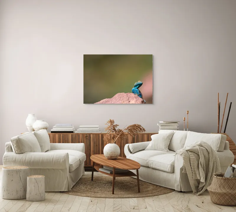 Tablou Canvas, "Șopârla albastră pe stâncă roșiatică", Albastru, Șopârlă, Stâncă, Verde, Natură, Privește, Solitar, Fundal, Blând, 100 x 70 cm – poza 3