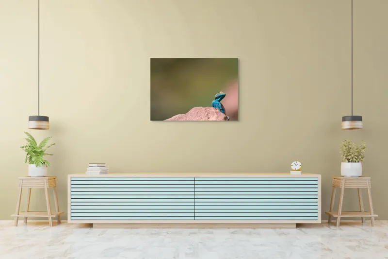 Tablou Canvas, "Șopârla albastră pe stâncă roșiatică", Albastru, Șopârlă, Stâncă, Verde, Natură, Privește, Solitar, Fundal, Blând, 100 x 70 cm – poza 4