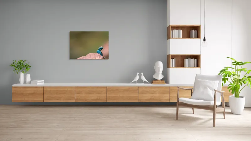 Tablou Canvas, "Șopârla albastră pe stâncă roșiatică", Albastru, Șopârlă, Stâncă, Verde, Natură, Privește, Solitar, Fundal, Blând, 100 x 70 cm – poza 6