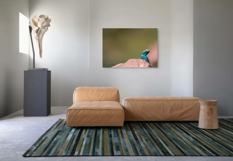 Tablou Canvas, "Șopârla albastră pe stâncă roșiatică", Albastru, Șopârlă, Stâncă, Verde, Natură, Privește, Solitar, Fundal, Blând, 100 x 70 cm – poza 7