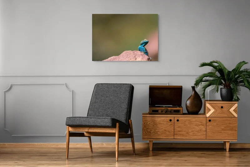 Tablou Canvas, "Șopârla albastră pe stâncă roșiatică", Albastru, Șopârlă, Stâncă, Verde, Natură, Privește, Solitar, Fundal, Blând, 100 x 70 cm – poza 8