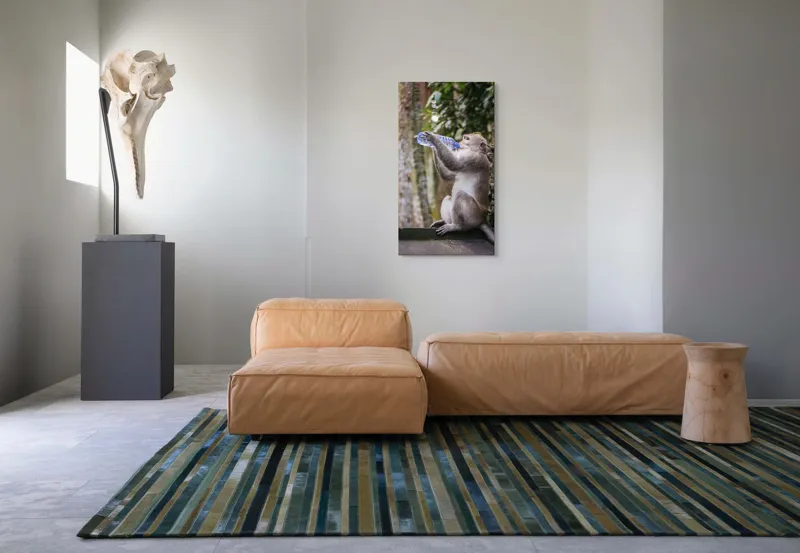 Tablou Canvas, "Maimuța însetată și apa vieții", Maimuță, Apă, Copaci, Frunze, Natură, Pauză, Curiozitate, 50 x 90 cm – poza 5