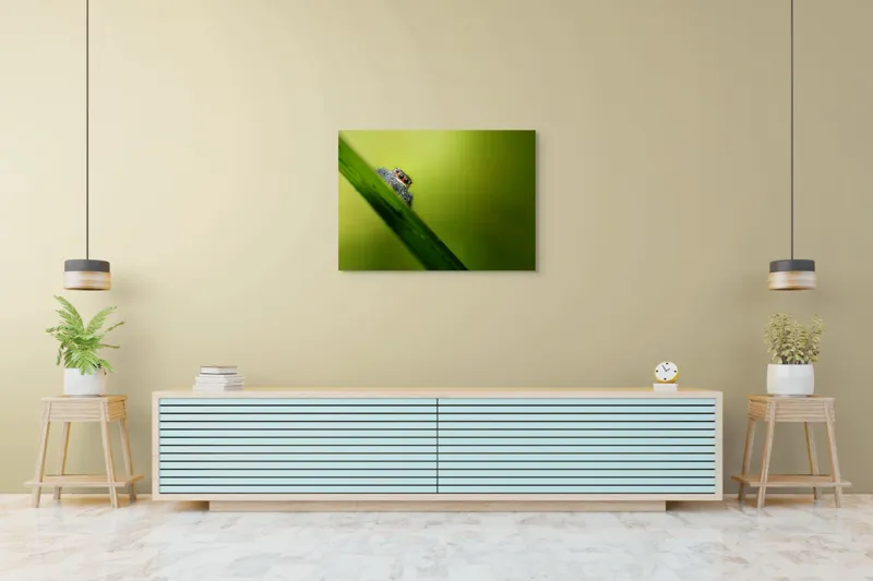 Tablou Canvas, "Păianjen curios pe frunză verde", Păianjen, Fire, Ochi, Verde, Frunză, Natură, Detaliu., 100 x 70 cm – poza 4