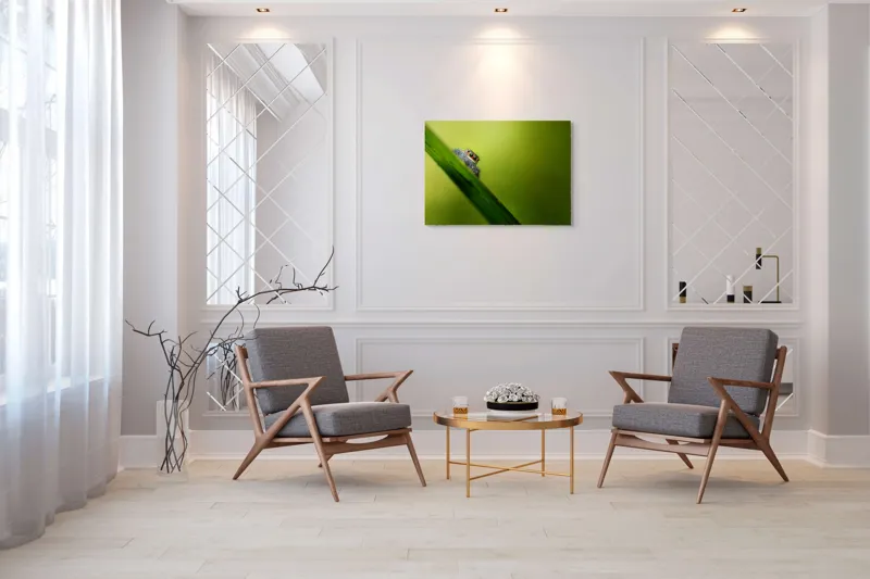 Tablou Canvas, "Păianjen curios pe frunză verde", Păianjen, Fire, Ochi, Verde, Frunză, Natură, Detaliu., 100 x 70 cm – poza 5