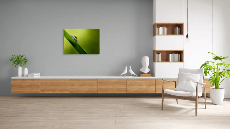Tablou Canvas, "Păianjen curios pe frunză verde", Păianjen, Fire, Ochi, Verde, Frunză, Natură, Detaliu., 100 x 70 cm – poza 6