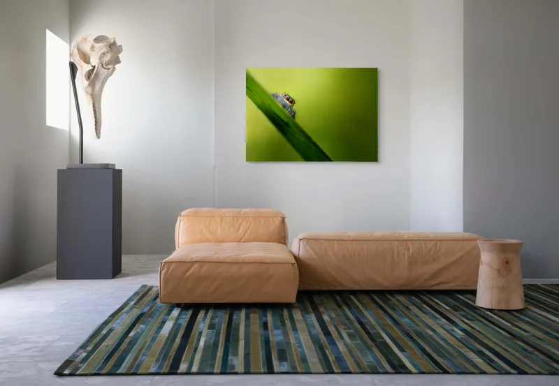 Tablou Canvas, "Păianjen curios pe frunză verde", Păianjen, Fire, Ochi, Verde, Frunză, Natură, Detaliu., 100 x 70 cm – poza 7