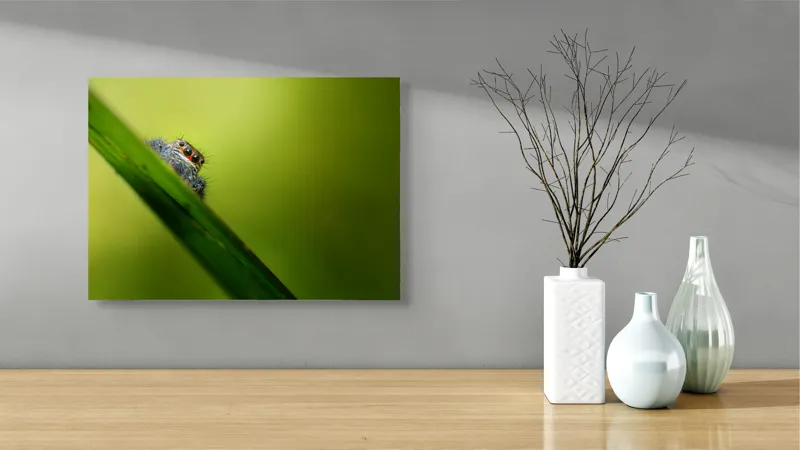 Tablou Canvas, "Păianjen curios pe frunză verde", Păianjen, Fire, Ochi, Verde, Frunză, Natură, Detaliu., 54 x 39 cm – poza 3