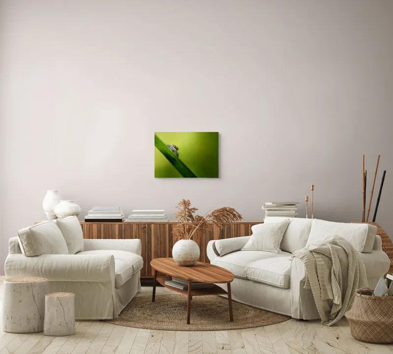 Tablou Canvas, "Păianjen curios pe frunză verde", Păianjen, Fire, Ochi, Verde, Frunză, Natură, Detaliu., 54 x 39 cm – poza 5