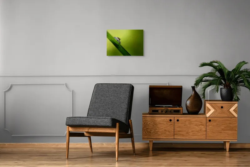 Tablou Canvas, "Păianjen curios pe frunză verde", Păianjen, Fire, Ochi, Verde, Frunză, Natură, Detaliu., 54 x 39 cm – poza 7