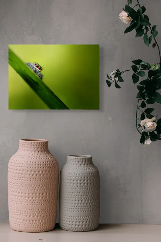 Tablou Canvas, "Păianjen curios pe frunză verde", Păianjen, Fire, Ochi, Verde, Frunză, Natură, Detaliu., 54 x 39 cm – poza 8