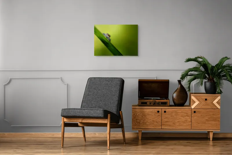 Tablou Canvas, "Păianjen curios pe frunză verde", Păianjen, Fire, Ochi, Verde, Frunză, Natură, Detaliu., 70 x 50 cm – poza 4