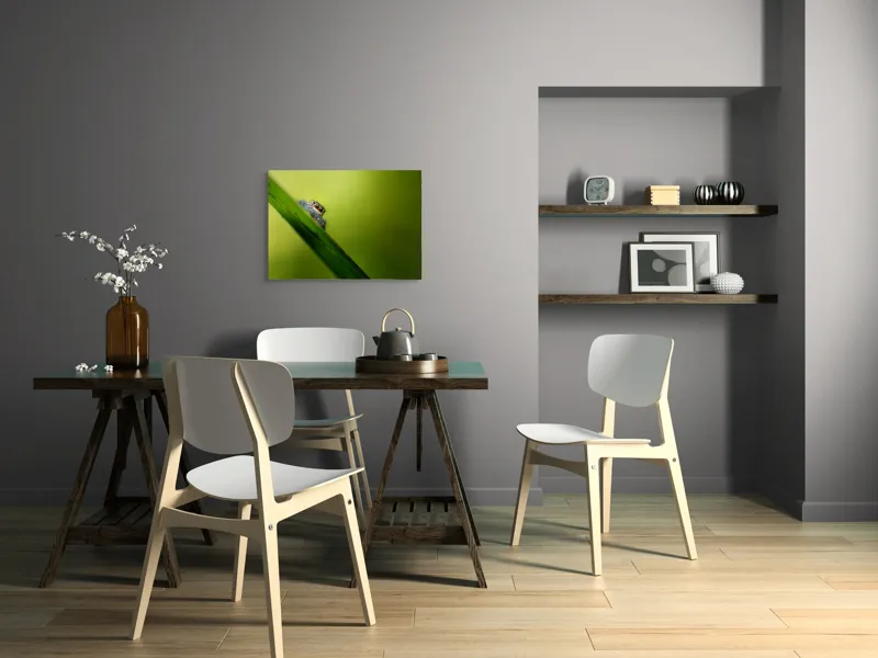 Tablou Canvas, "Păianjen curios pe frunză verde", Păianjen, Fire, Ochi, Verde, Frunză, Natură, Detaliu., 70 x 50 cm – poza 5