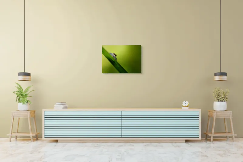 Tablou Canvas, "Păianjen curios pe frunză verde", Păianjen, Fire, Ochi, Verde, Frunză, Natură, Detaliu., 70 x 50 cm – poza 7
