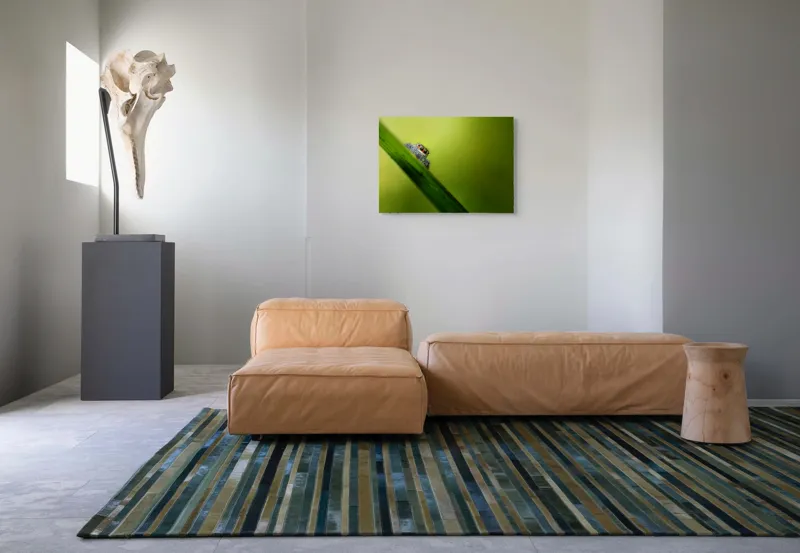 Tablou Canvas, "Păianjen curios pe frunză verde", Păianjen, Fire, Ochi, Verde, Frunză, Natură, Detaliu., 70 x 50 cm – poza 8