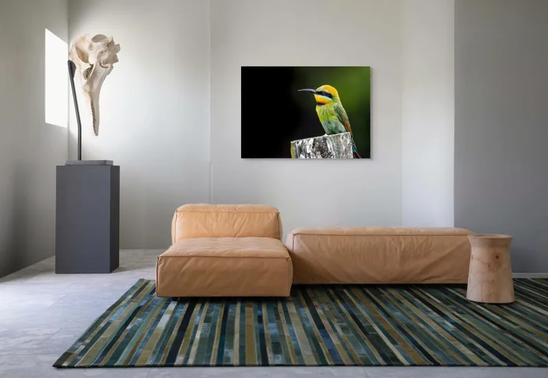 Tablou Canvas, "Pasărea în culori vibrante pe stâlp", Colorat, Vibrant, Păsărește, Exuberant, Splendid, Luminos, Natură, Contraste, Feeric, Exotic, 100 x 70 cm – poza 7