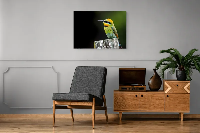 Tablou Canvas, "Pasărea în culori vibrante pe stâlp", Colorat, Vibrant, Păsărește, Exuberant, Splendid, Luminos, Natură, Contraste, Feeric, Exotic, 100 x 70 cm – poza 8