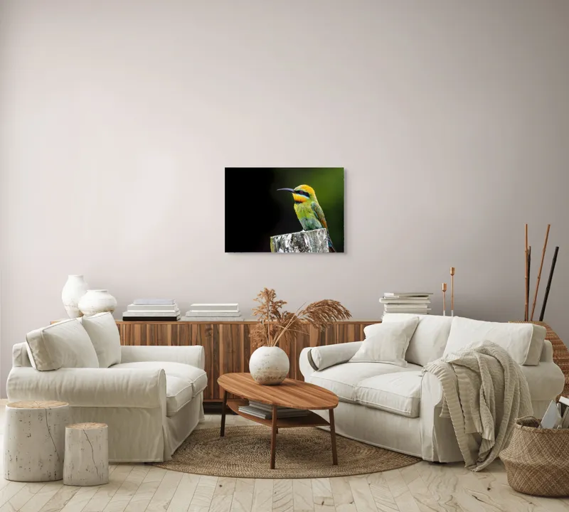 Tablou Canvas, "Pasărea în culori vibrante pe stâlp", Colorat, Vibrant, Păsărește, Exuberant, Splendid, Luminos, Natură, Contraste, Feeric, Exotic, 70 x 50 cm – poza 6