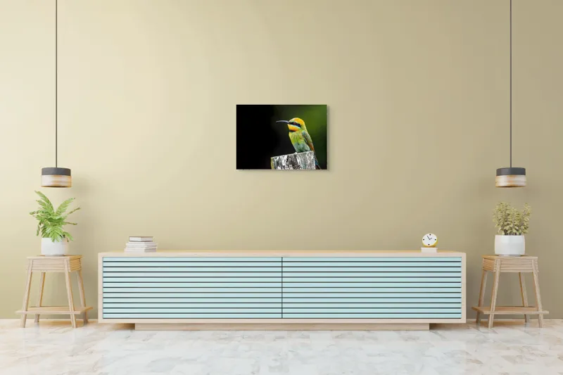 Tablou Canvas, "Pasărea în culori vibrante pe stâlp", Colorat, Vibrant, Păsărește, Exuberant, Splendid, Luminos, Natură, Contraste, Feeric, Exotic, 70 x 50 cm – poza 7